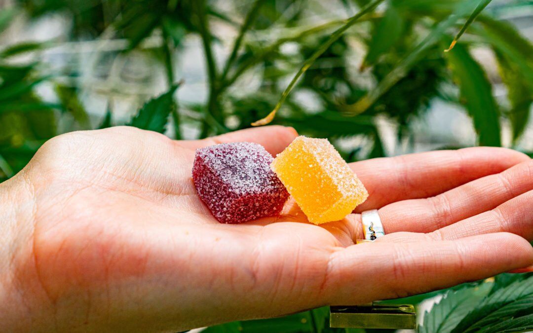 6 Things To Know About Taking Edibles | Magnolia Road Cannabis Co.